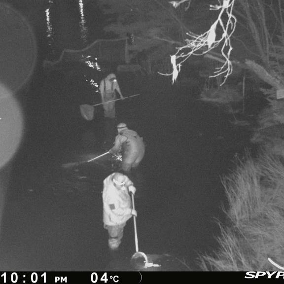 Photos capture contentious fishing of baby eels in Nova Scotia despite moratorium